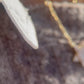 0.70ct Diamond Star Of David on Diamond by the Yard PaperClip Chain in 14K Yellow Gold